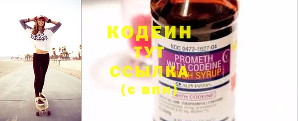 бошки Инта