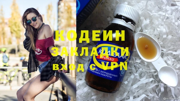 бошки Инта