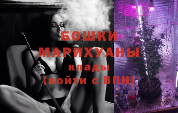бошки Инта